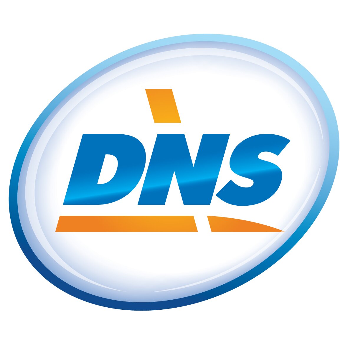 original.389.DNS_logo_easy